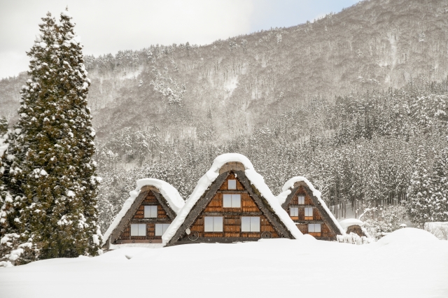 The Meaning of “冬ごもり” (Fuyugomori): Winter Hibernation in Japanese Lifestyle.