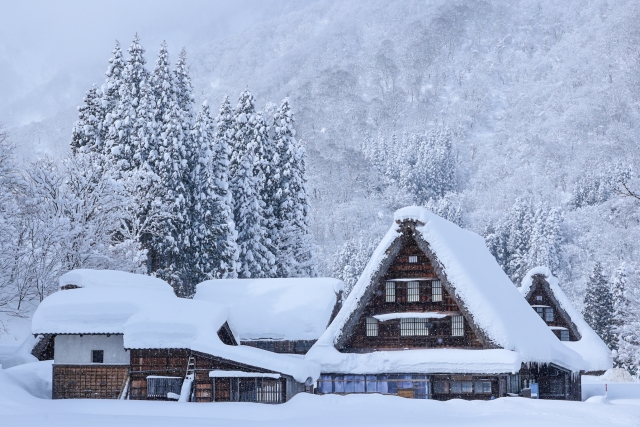 Living With Snow in Japan: Winter Fun, Traditions, and Creativity ❄️